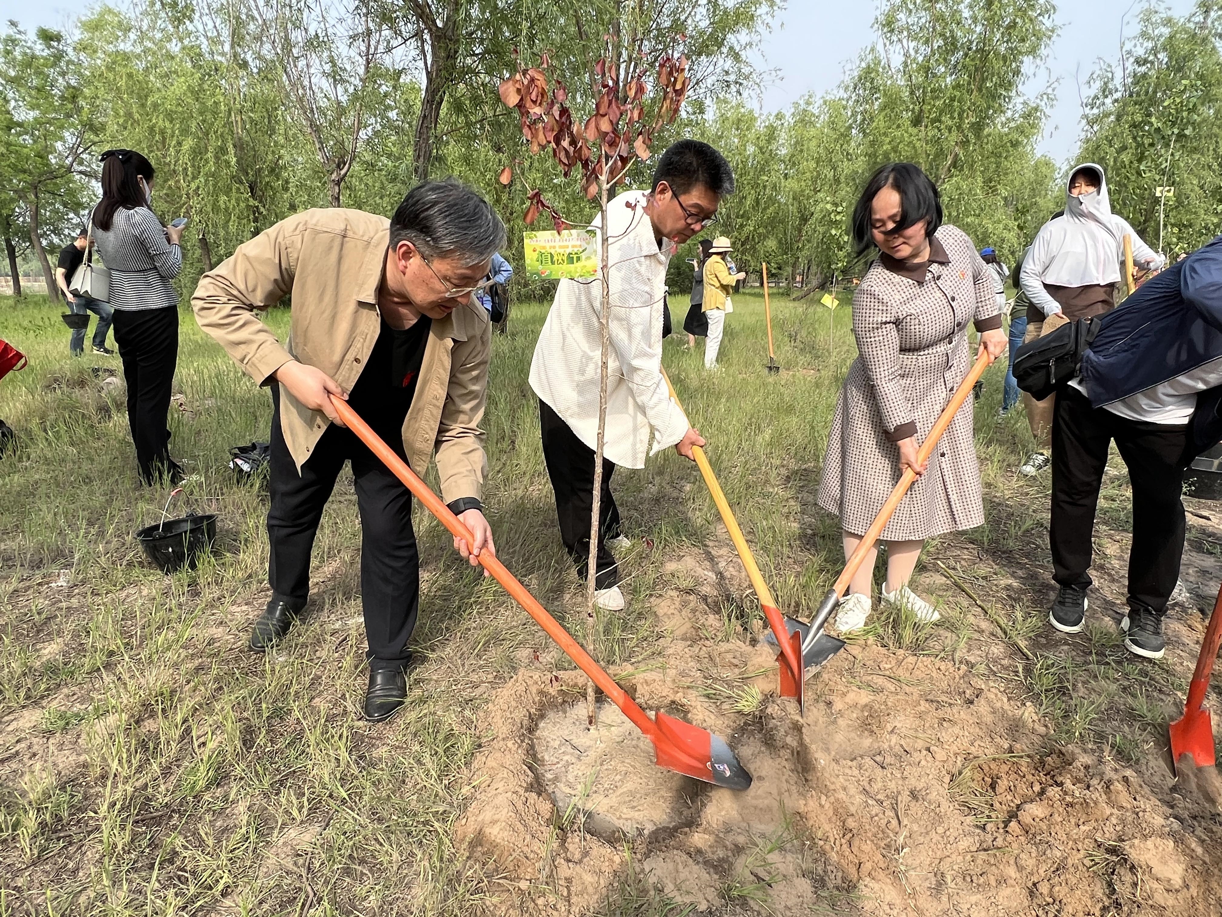 2023_04_18_15_56_IMG_7340.JPG 2023_04_18_15_56_IMG_7340.JPG