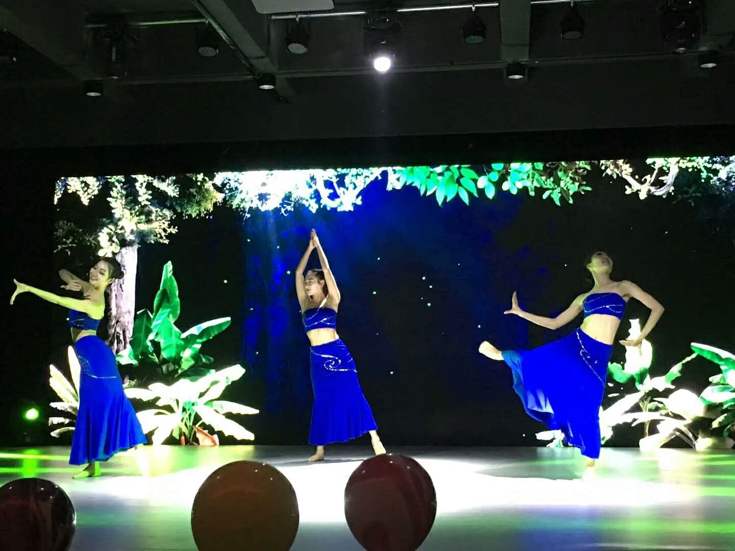 image005.jpg image005.jpg