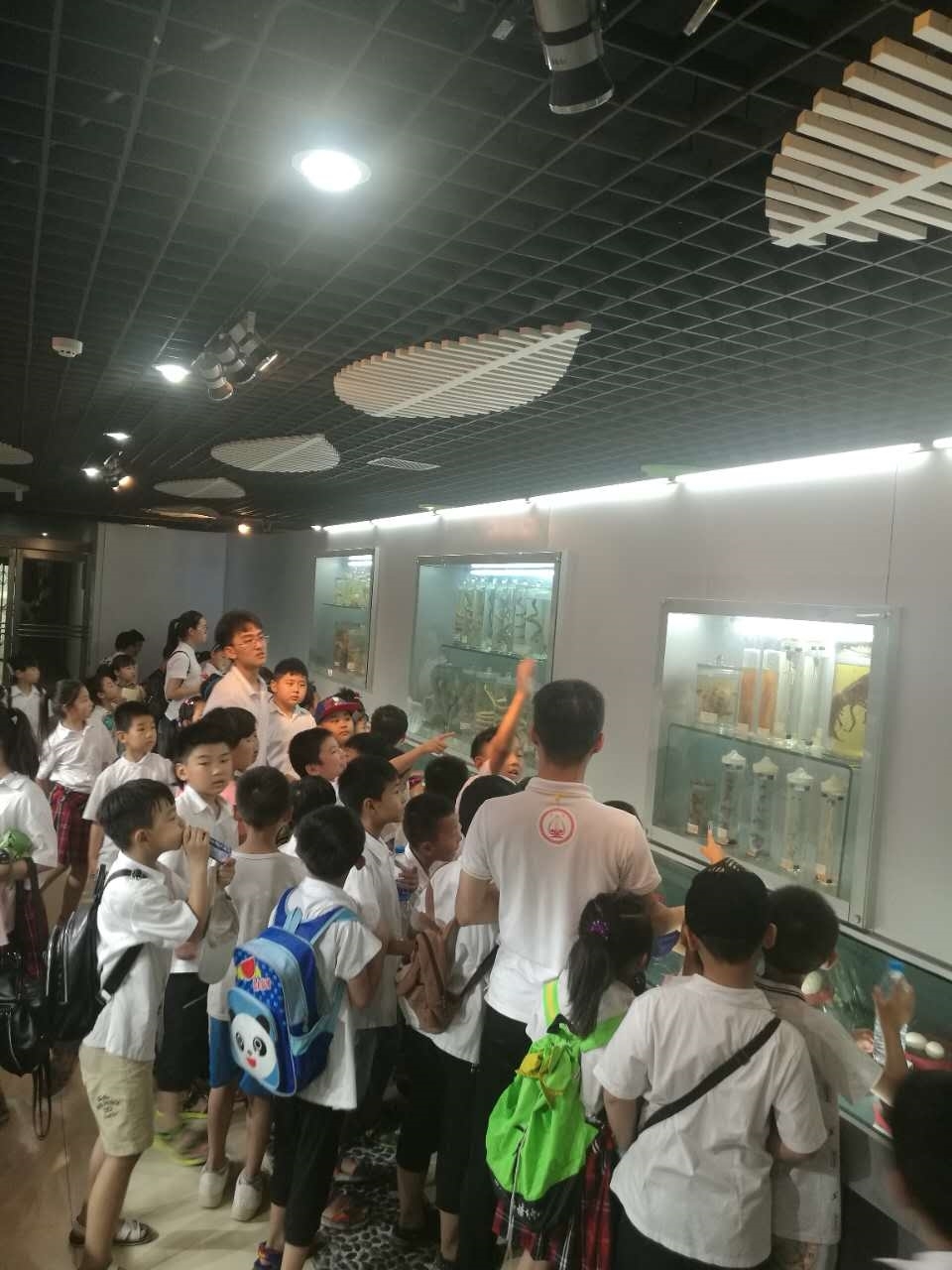 webwxgetmsgimg (4).jpg webwxgetmsgimg (4).jpg