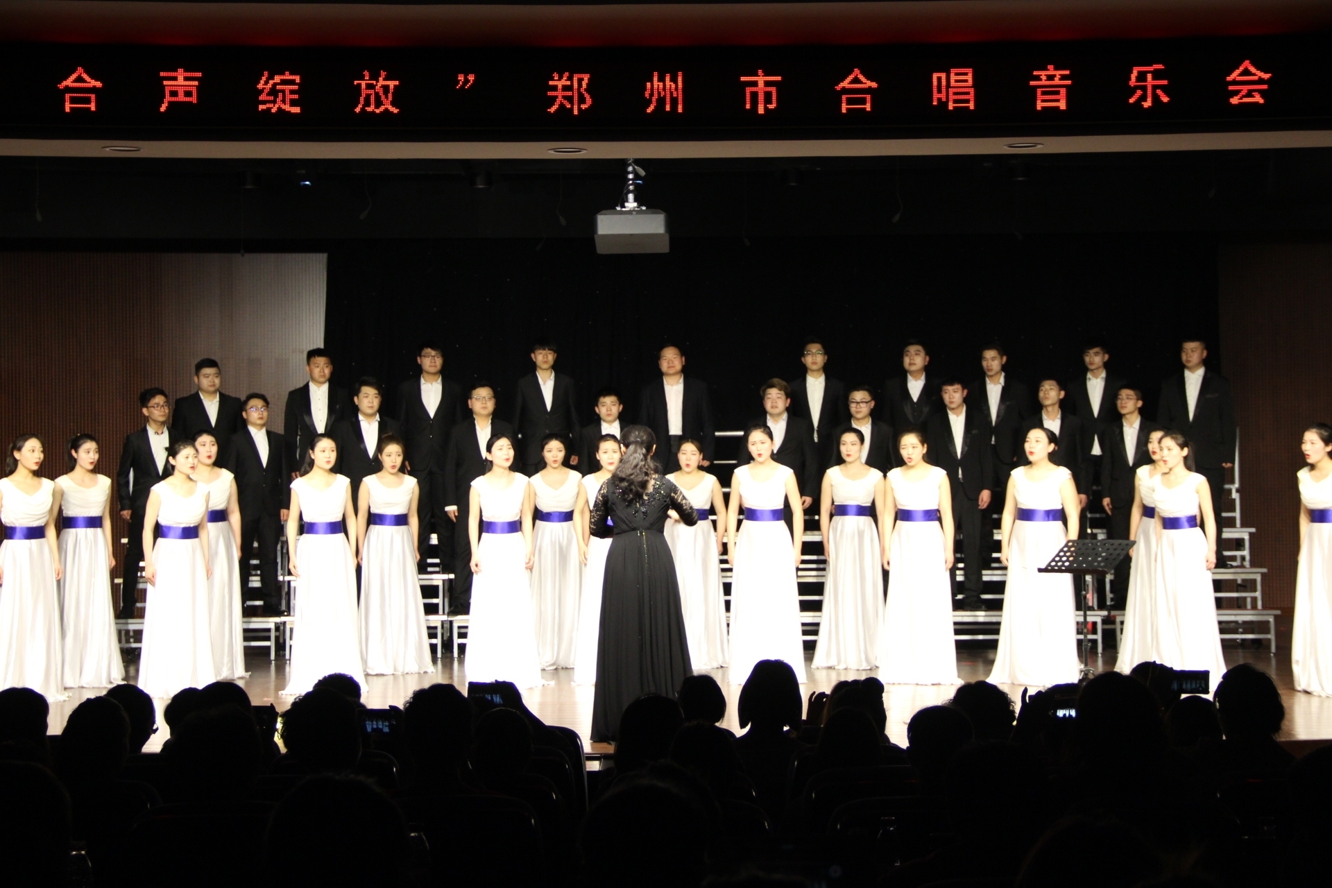 IMG_5446.JPG IMG_5446.JPG