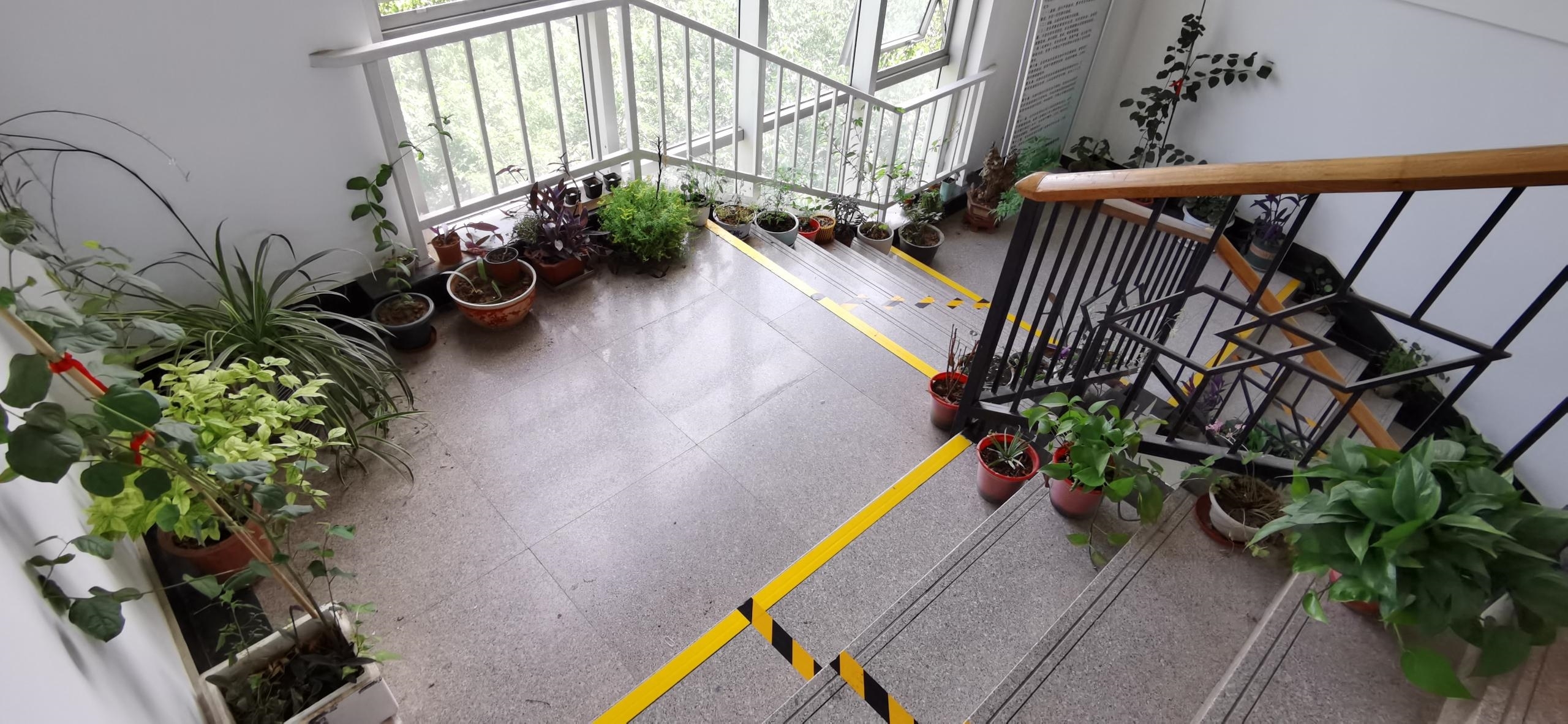 image009.jpg image009.jpg