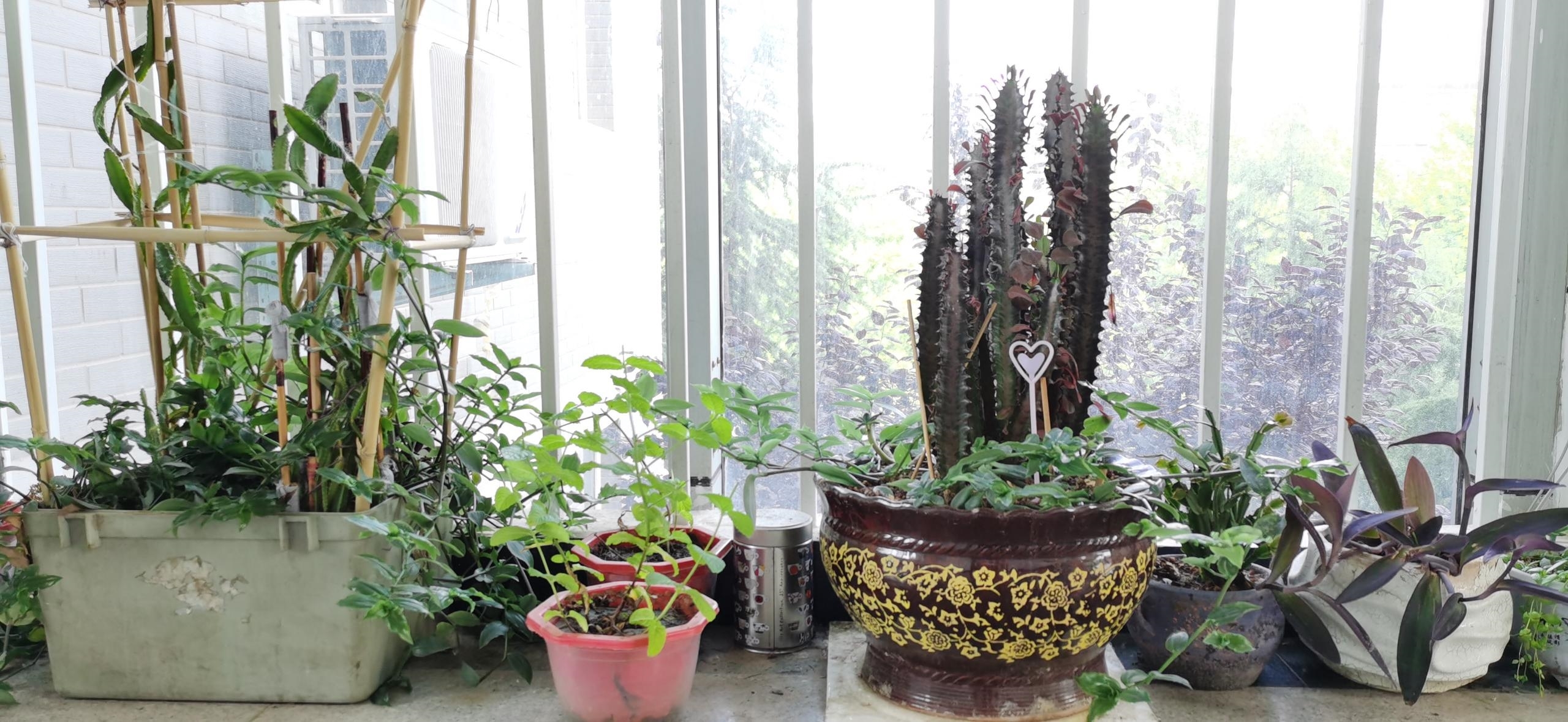 image013.jpg image013.jpg